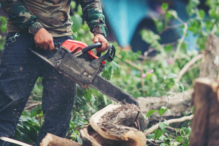 asian-man-cutting-trees-using-electrical-chainsaw (1)